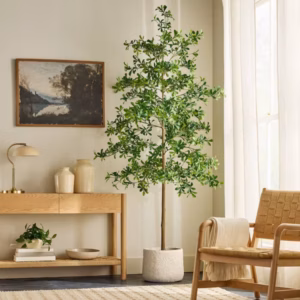 Black Olive Artificial Tree - Hearth & Handâ„¢ with Magnolia